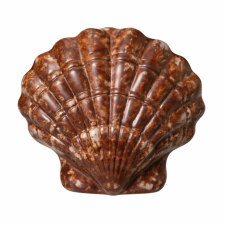 Coquille St Jacques en chocolat au lait marbré